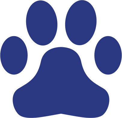 leckotech-schimmelspuerhund